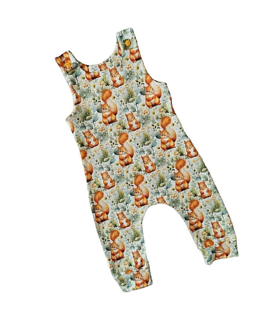 Squirrels romper/overall